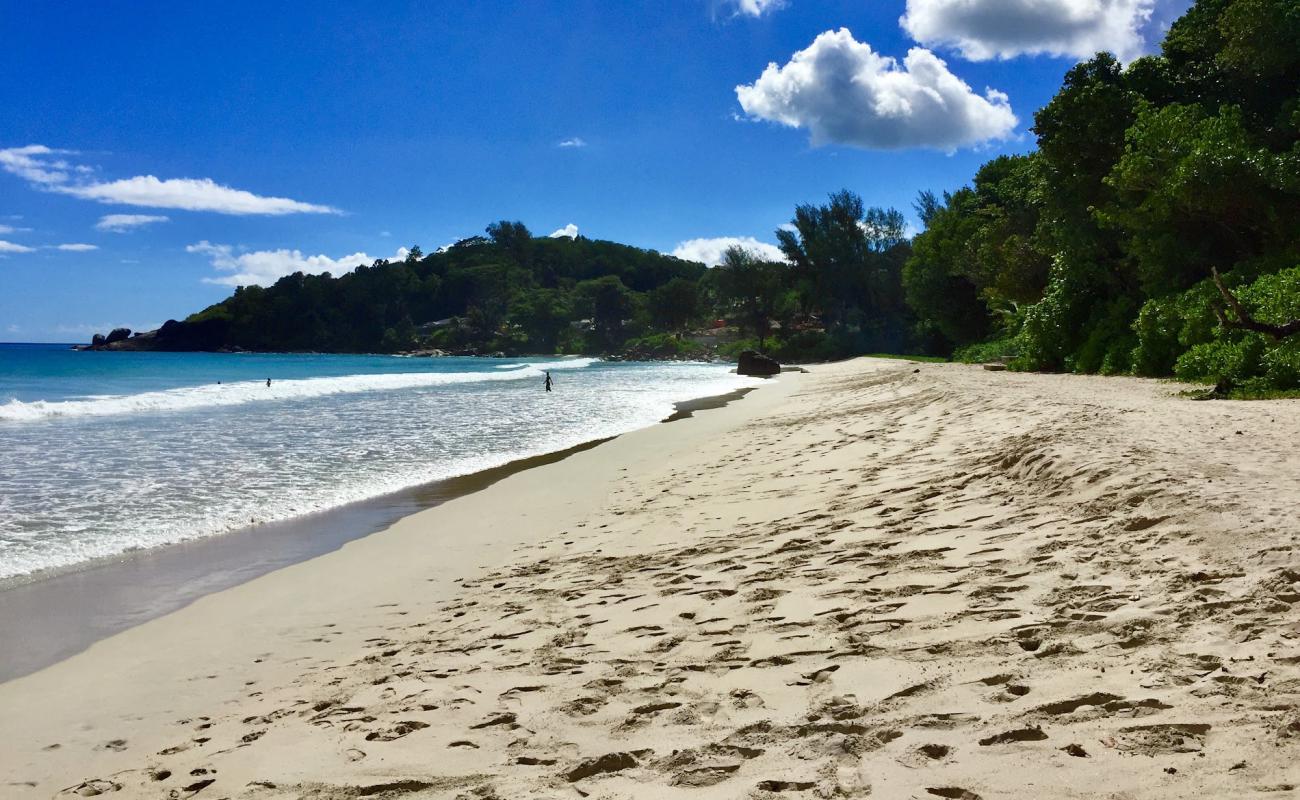 Photo de Grand Anse Beach avec sable fin et lumineux de surface