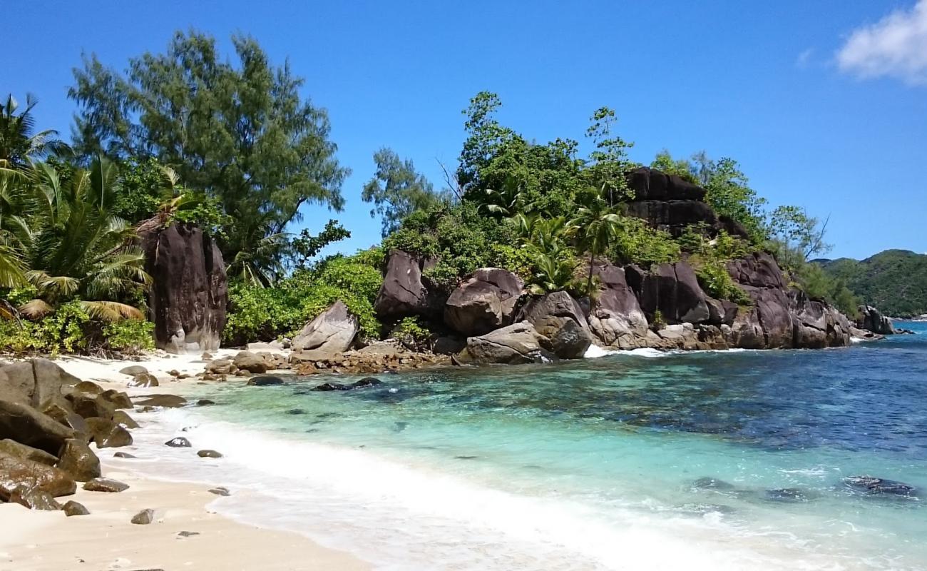 Photo de Anu Paul Beach avec sable beige fin de surface