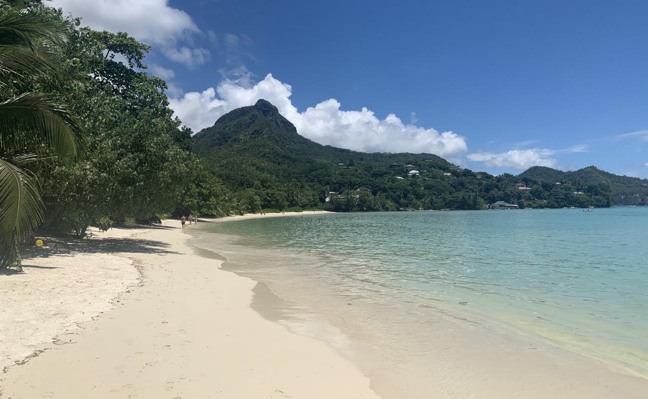 Photo de Plage de Port Launay avec sable fin et lumineux de surface