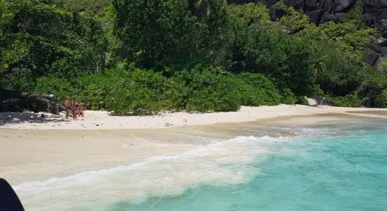 Anse Du Riz Beach