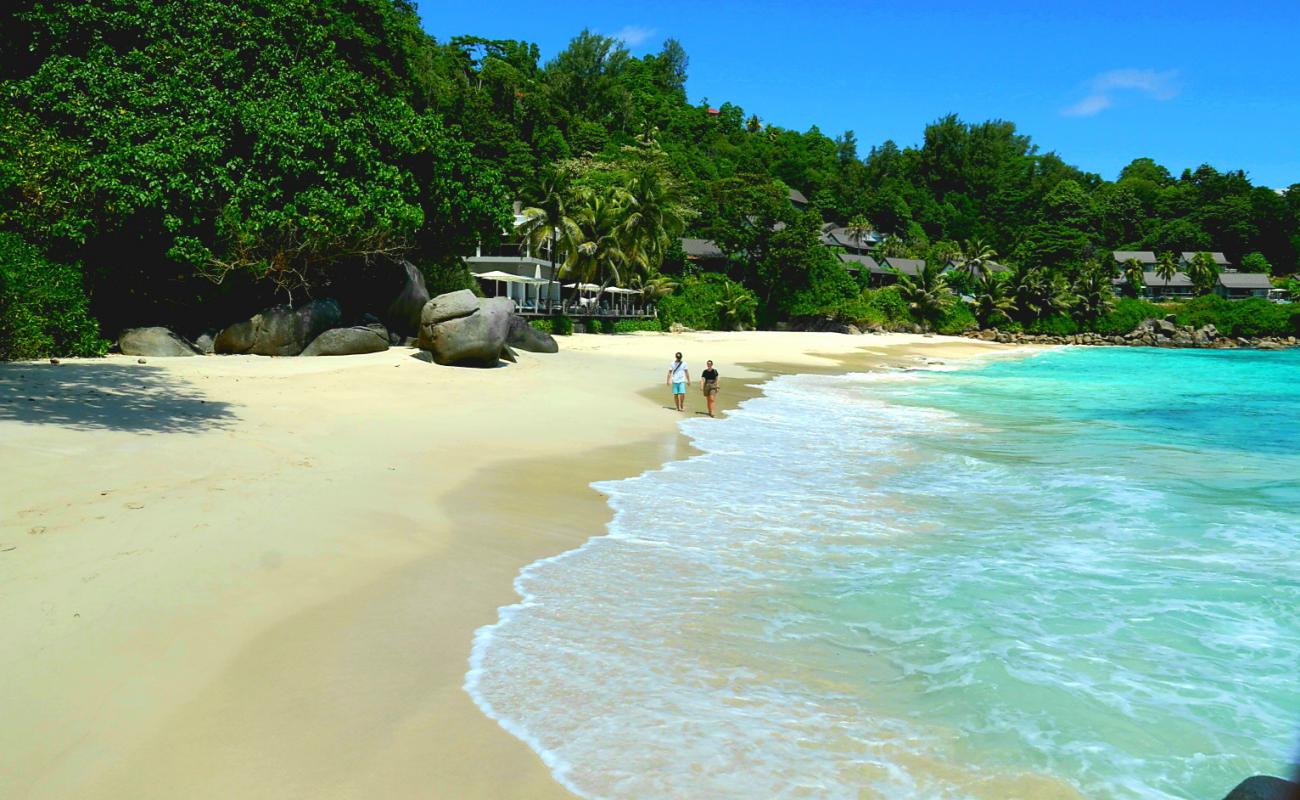Photo de Carana Beach avec sable beige fin de surface