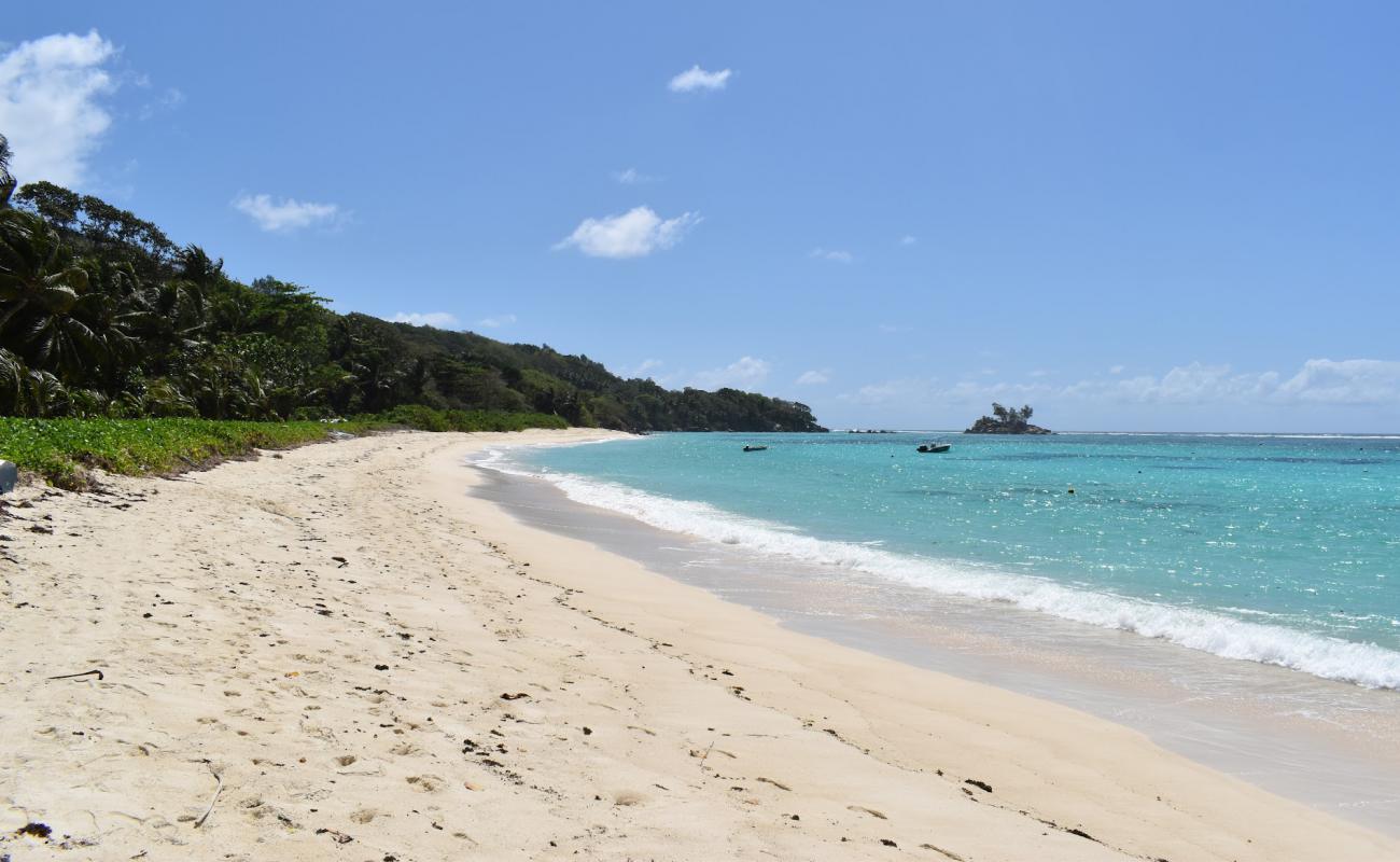 Photo de Anse Royale Bay avec sable fin et lumineux de surface