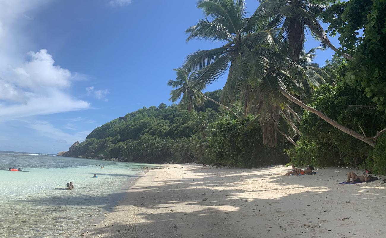 Photo de Anse Parnell Beach avec sable beige fin de surface