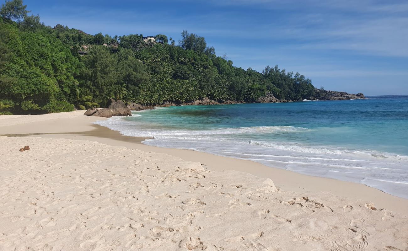 Photo de Anse Forbans Beach avec sable beige fin de surface