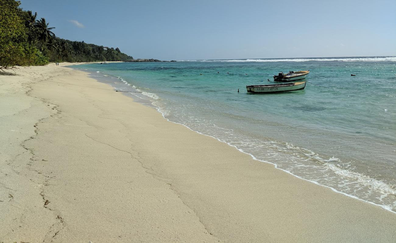 Photo de Anse Marie Louise Beach avec sable fin et lumineux de surface