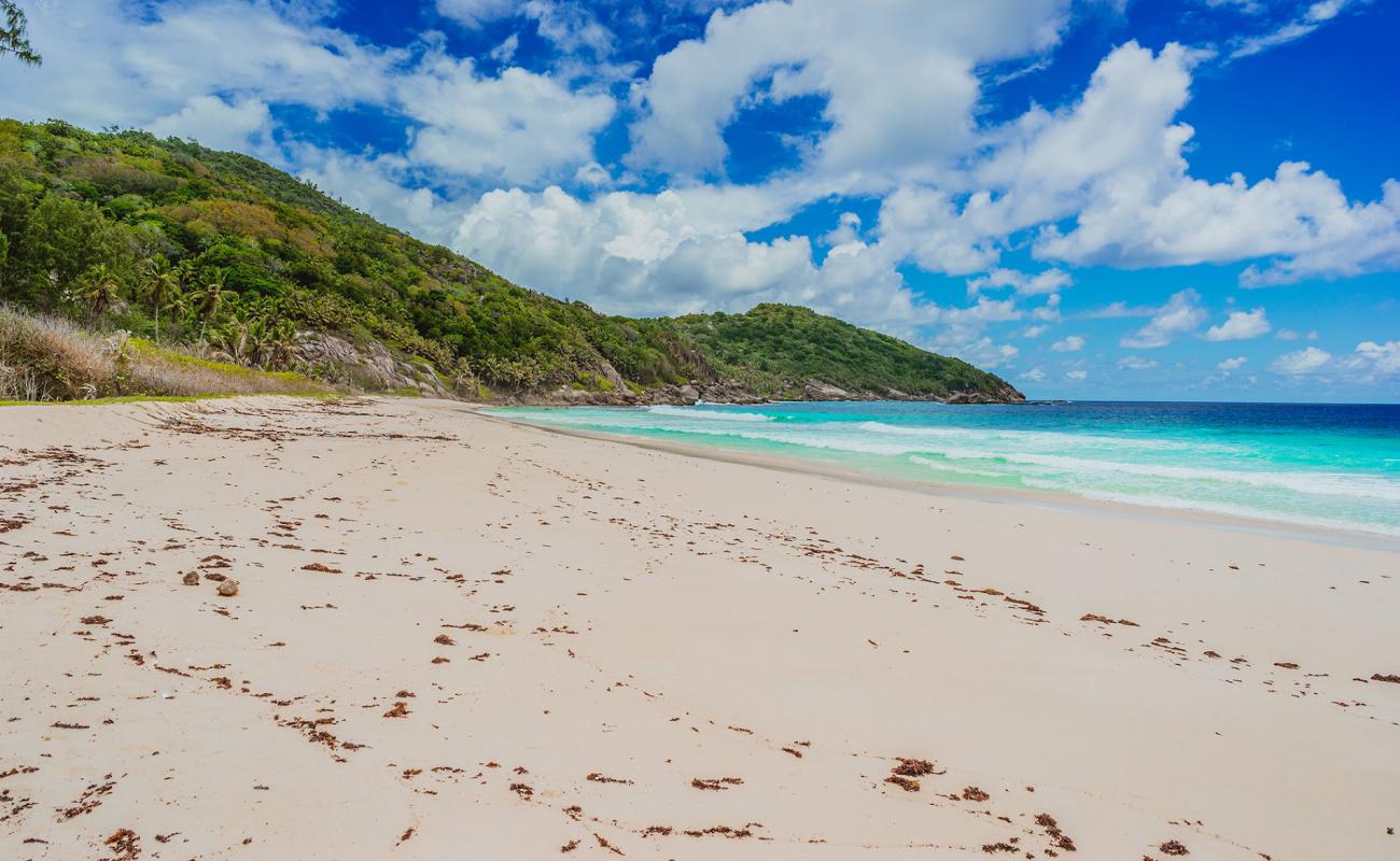 Photo de Police Bay Beach avec sable fin et lumineux de surface