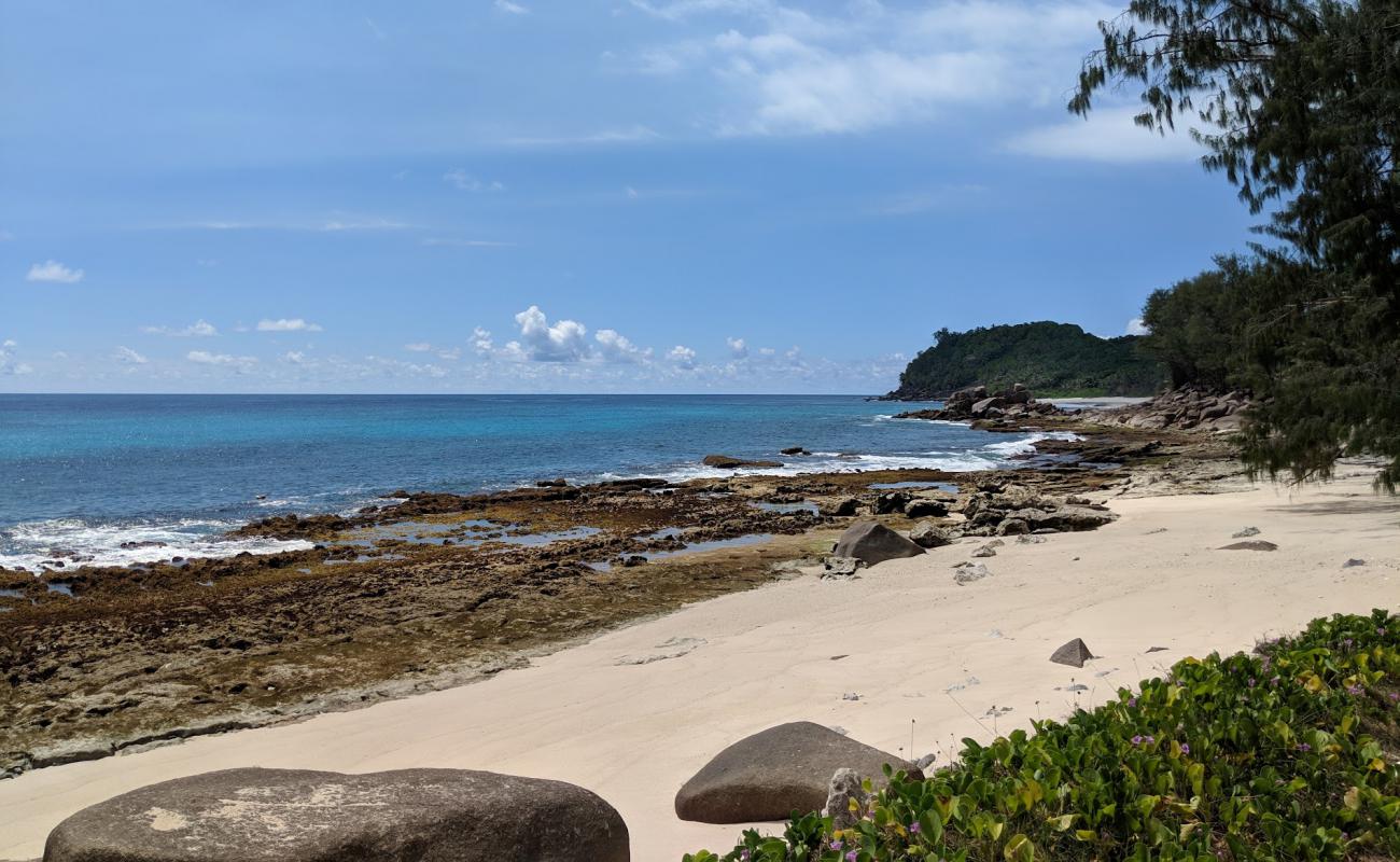 Photo de Petite Police Beach avec sable beige & pierres de surface