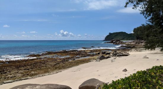 Petite Police Beach