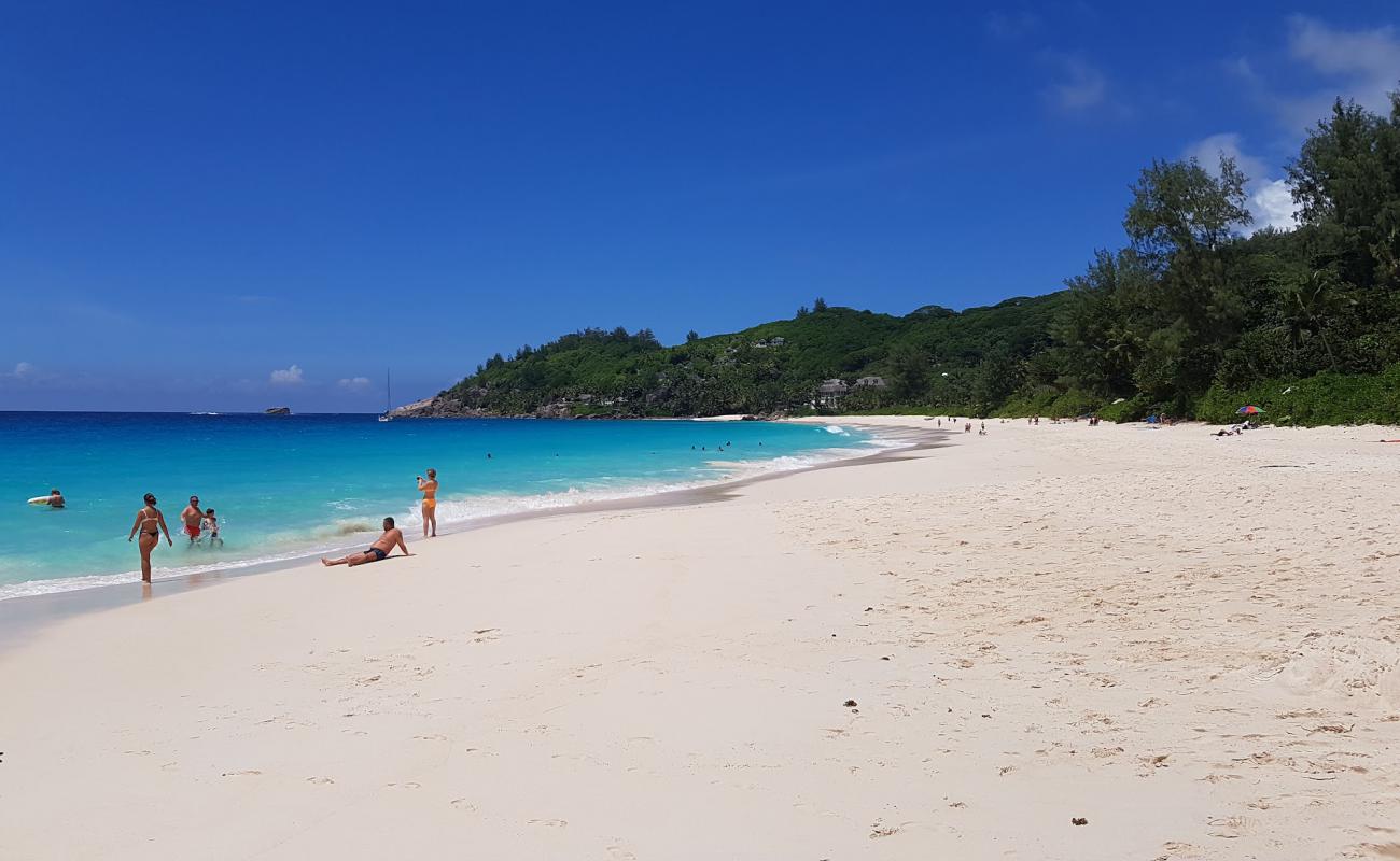 Photo de Anse Intendance Beach avec sable beige fin de surface