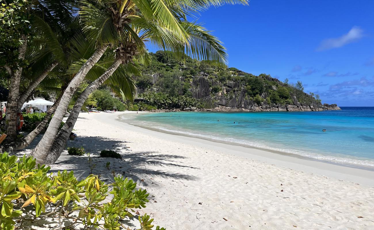 Photo de Plage de Petite Anse avec sable fin blanc de surface