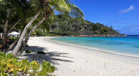 Plage de Petite Anse