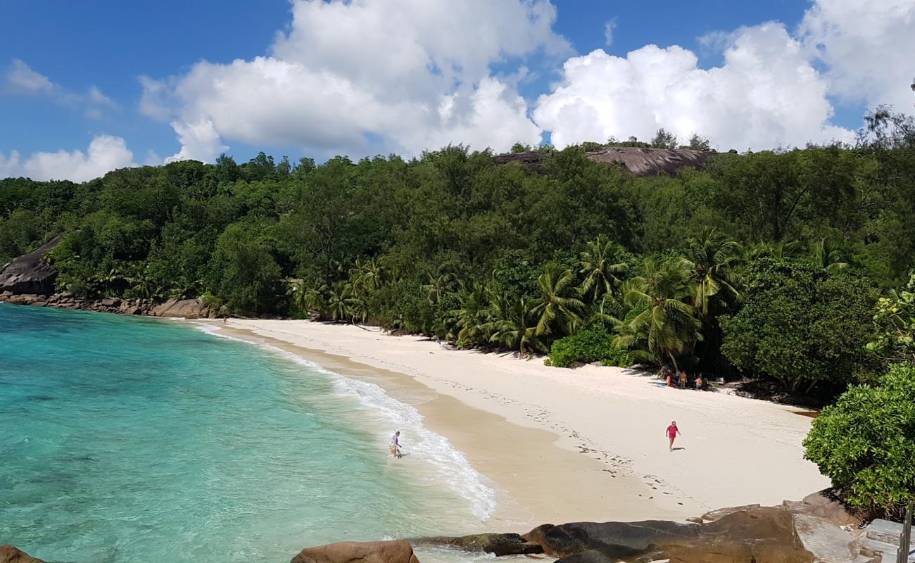 Photo de Plage d'Anse Soleil avec sable beige fin de surface
