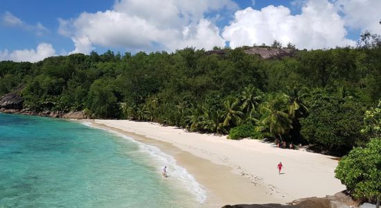 Plage d'Anse Soleil