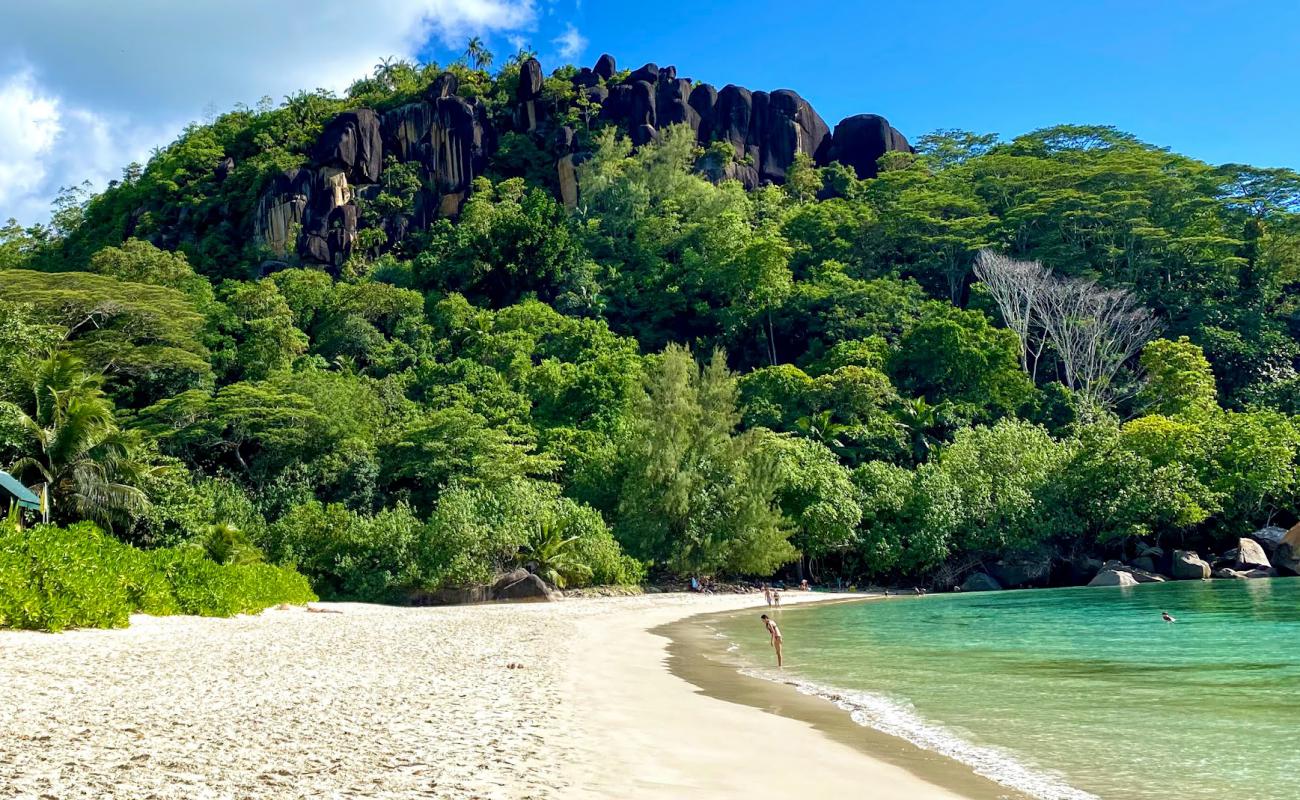 Photo de Anse Louis Beach avec sable beige fin de surface