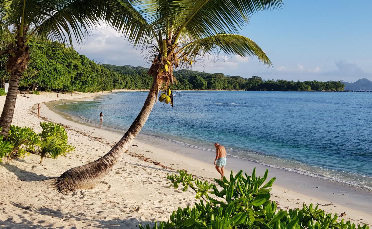 Photo de Anse Barbarons Beach avec sable lumineux de surface