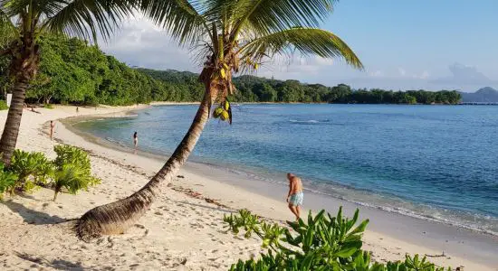 Anse Barbarons Beach