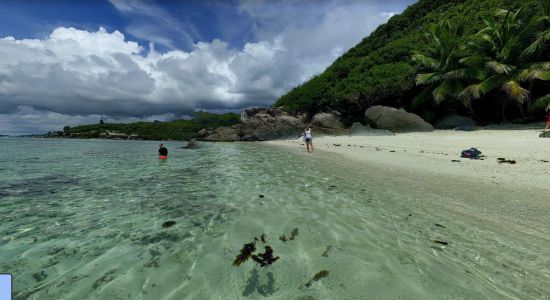 Moyenne Island Beach