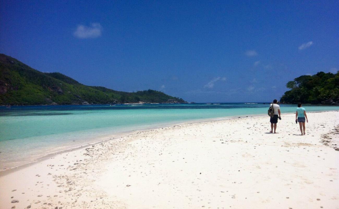 Photo de Moyenne Island Beach II avec sable lumineux de surface