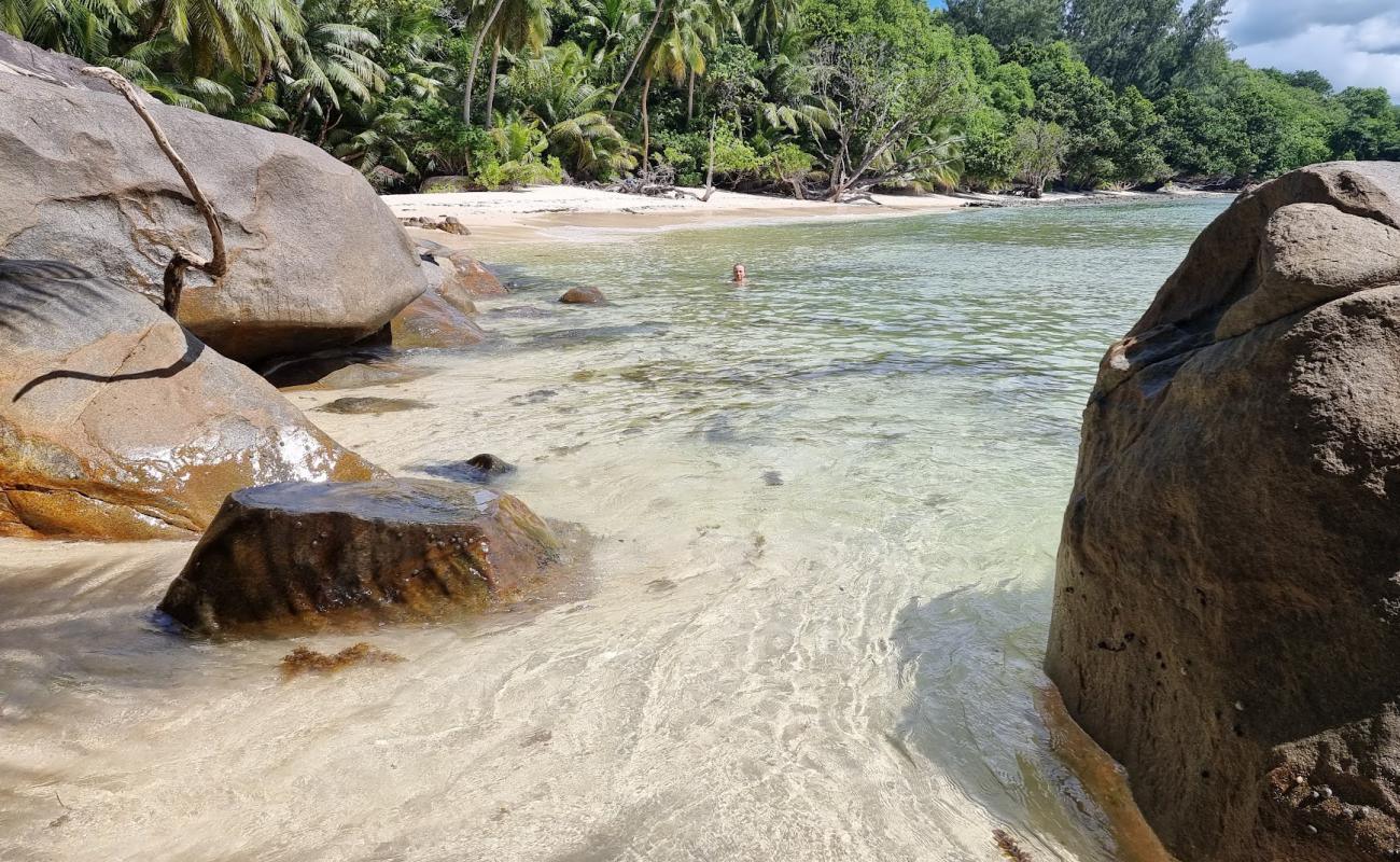 Photo de Anse Cabot Beach avec sable beige fin de surface