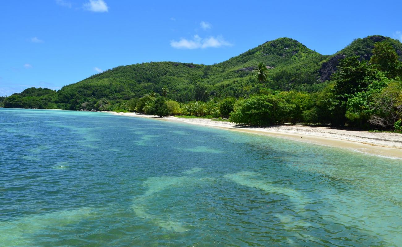 Photo de Anse Manom avec sable beige fin de surface