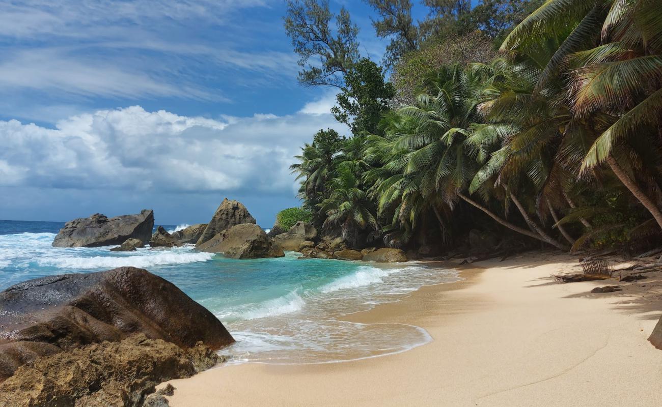 Photo de Anse Patates Beach avec sable beige de surface