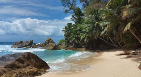 Anse Patates Beach