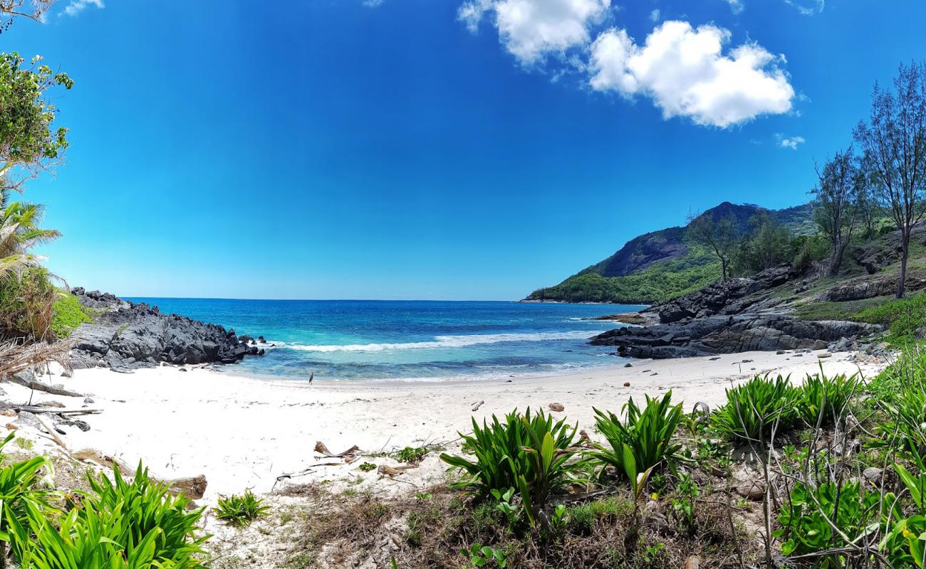 Photo de Anse Simetiere Beach avec sable beige fin de surface