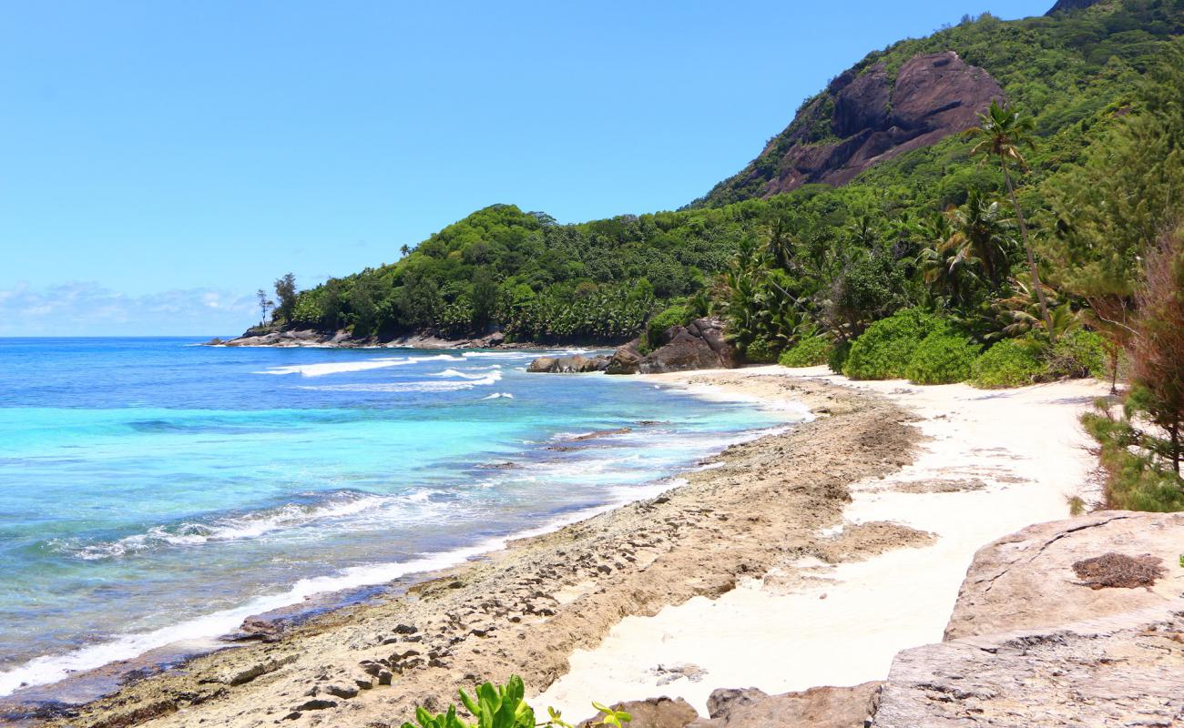 Photo de Anse Lascars avec sable beige de surface