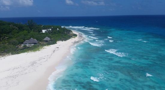 Cousine Island Beach