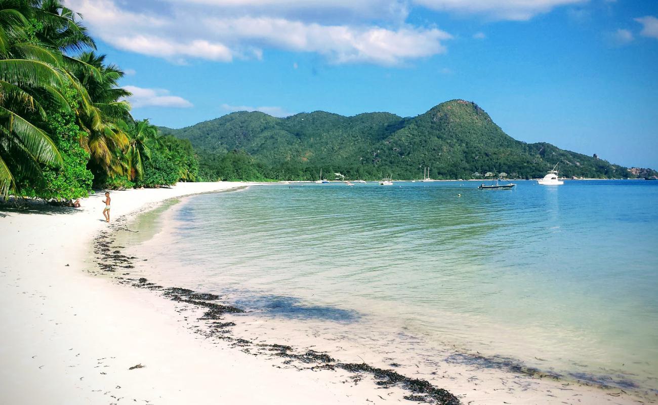 Photo de Grand Anse beach avec sable fin blanc de surface