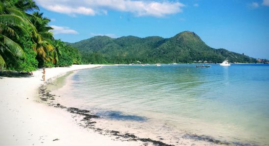 Grand Anse beach