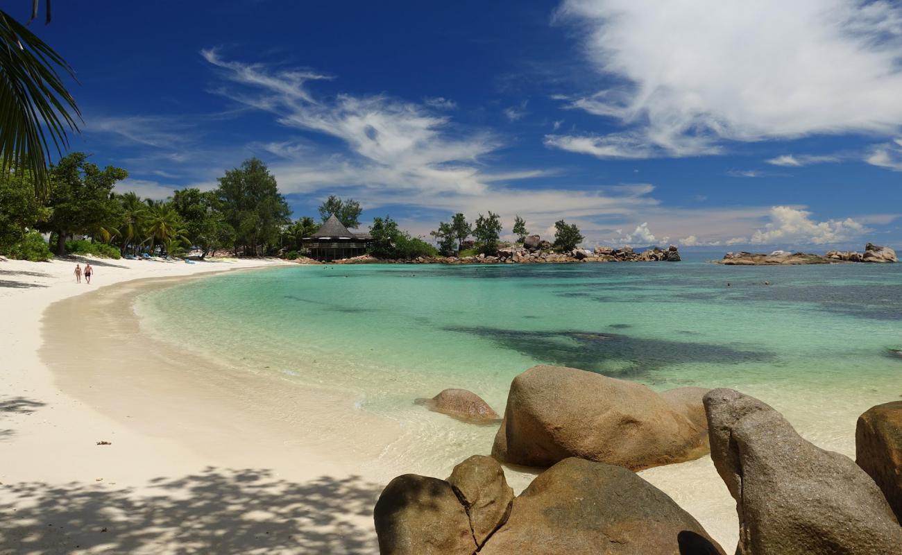 Photo de Plage de Petite Anse Kerlan avec sable fin blanc de surface