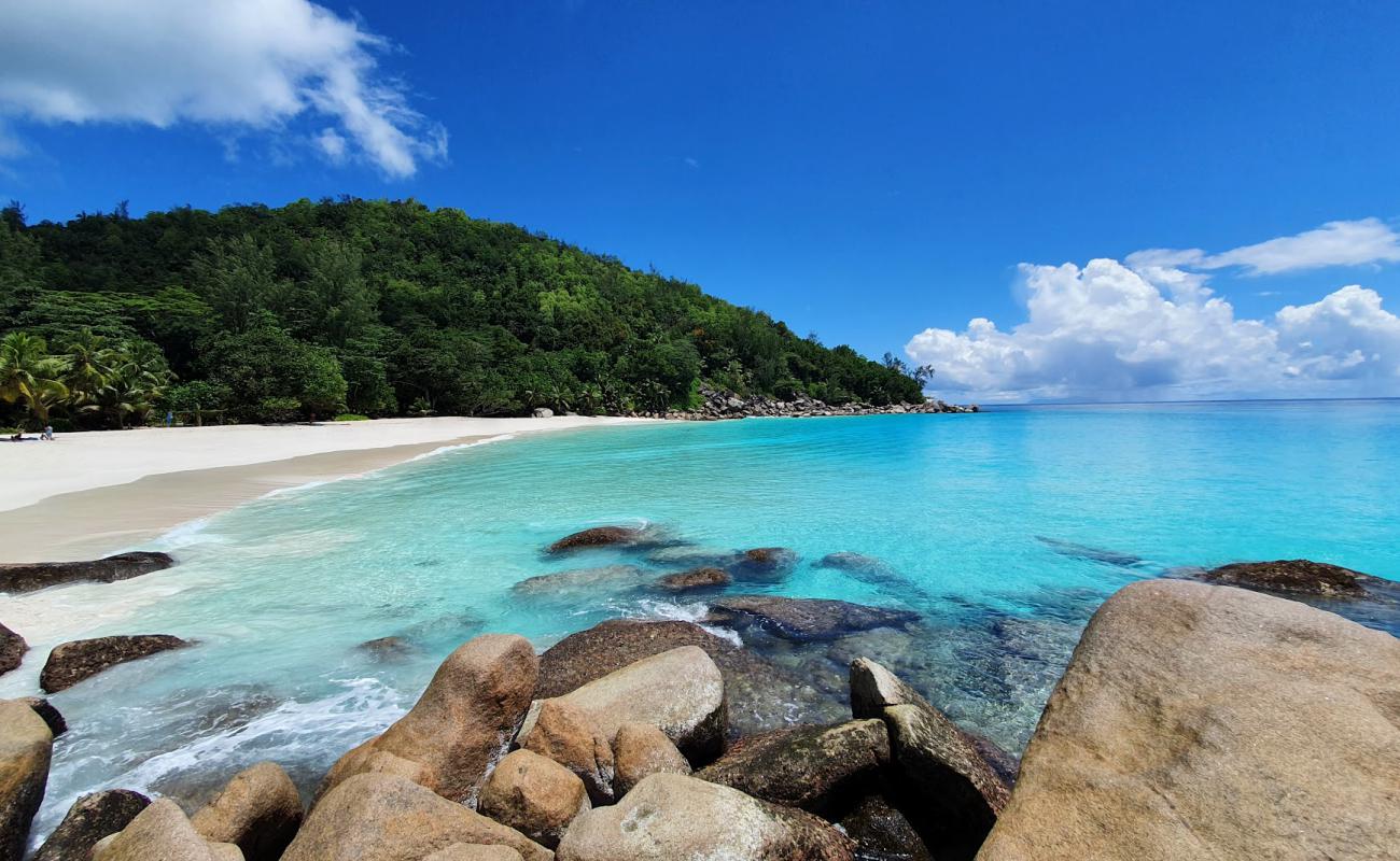 Photo de Plage Anse Georgette avec sable fin blanc de surface