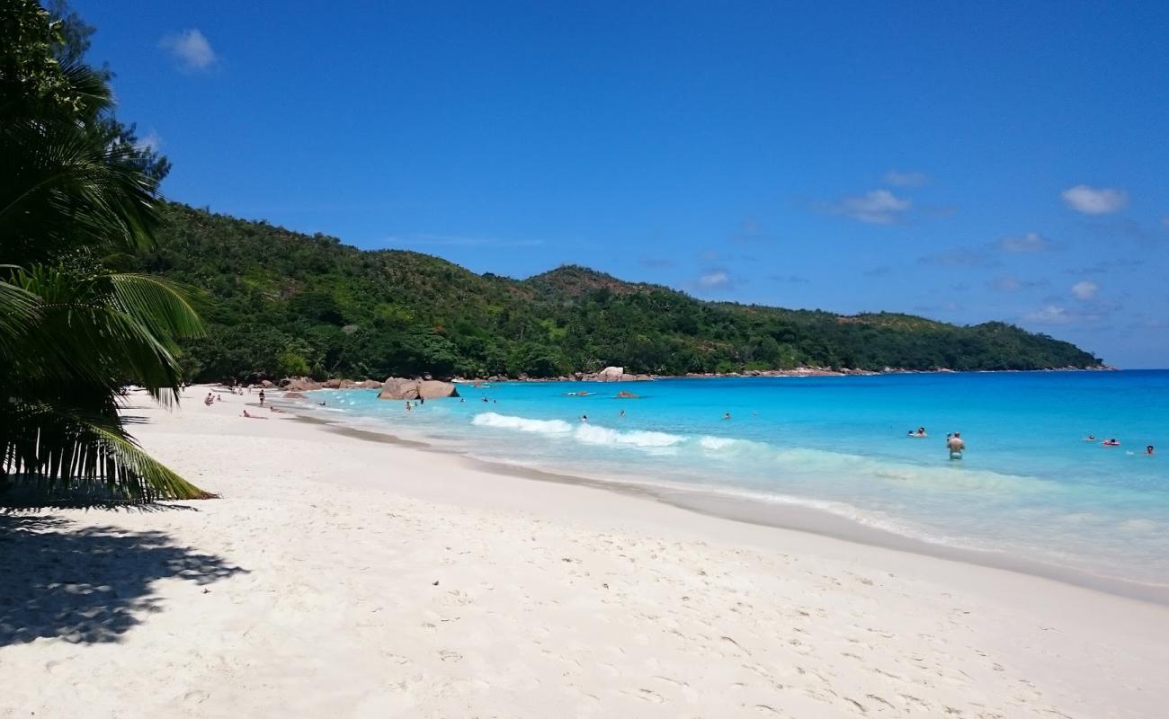 Photo de Plage d'Anse Lazio avec sable fin blanc de surface