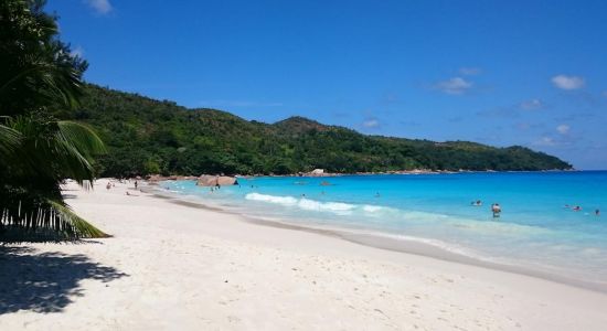 Plage d'Anse Lazio