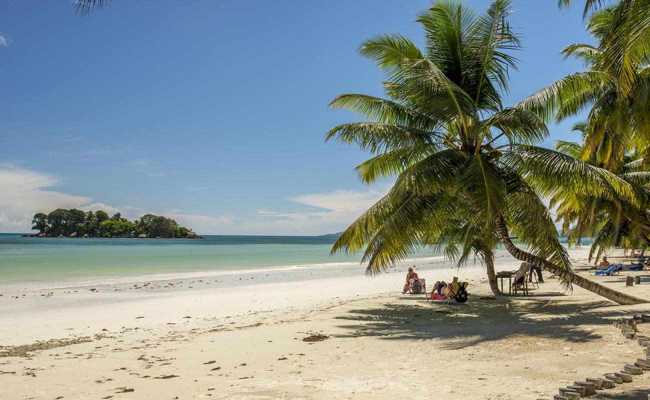 Photo de Plage de la Côte d'Or avec sable fin blanc de surface