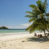 Plage de la Côte d'Or