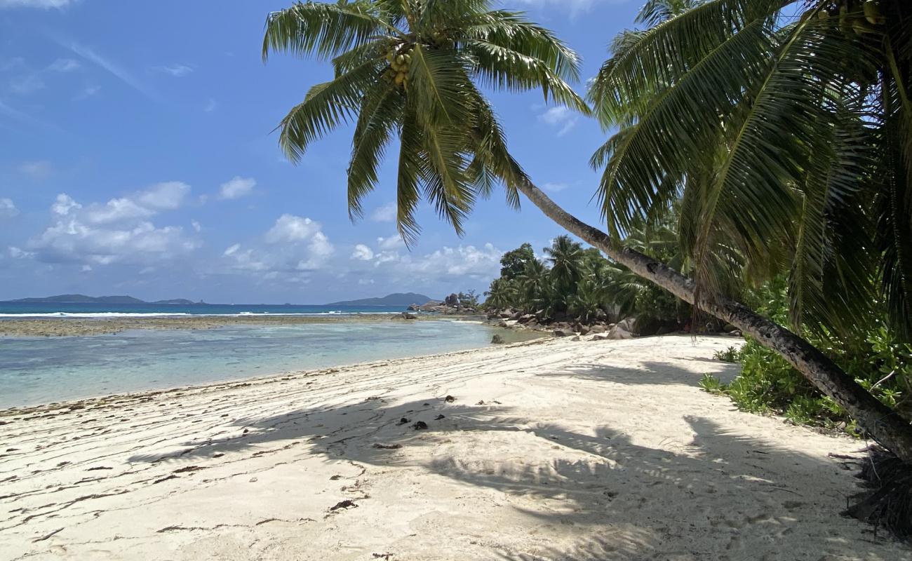 Photo de Anse La Blague Beach avec sable beige de surface
