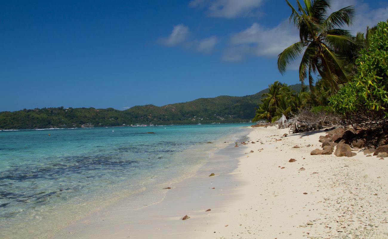 Photo de Anse La Farine Beach avec sable beige de surface