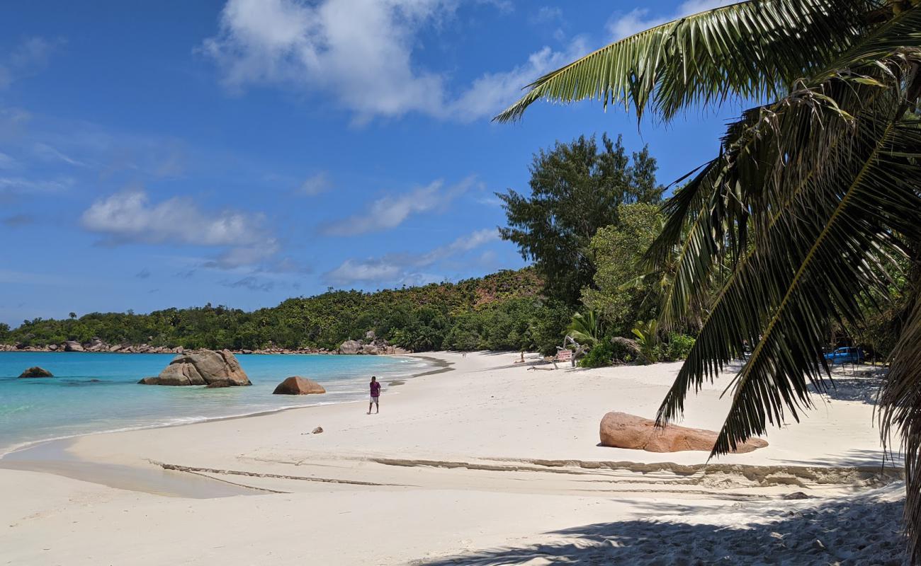 Photo de Anse Marie Louise Beach avec sable beige de surface