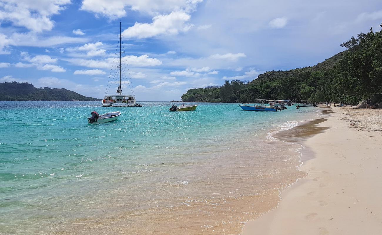 Photo de Plage d'Anse St. Jose avec sable fin et lumineux de surface