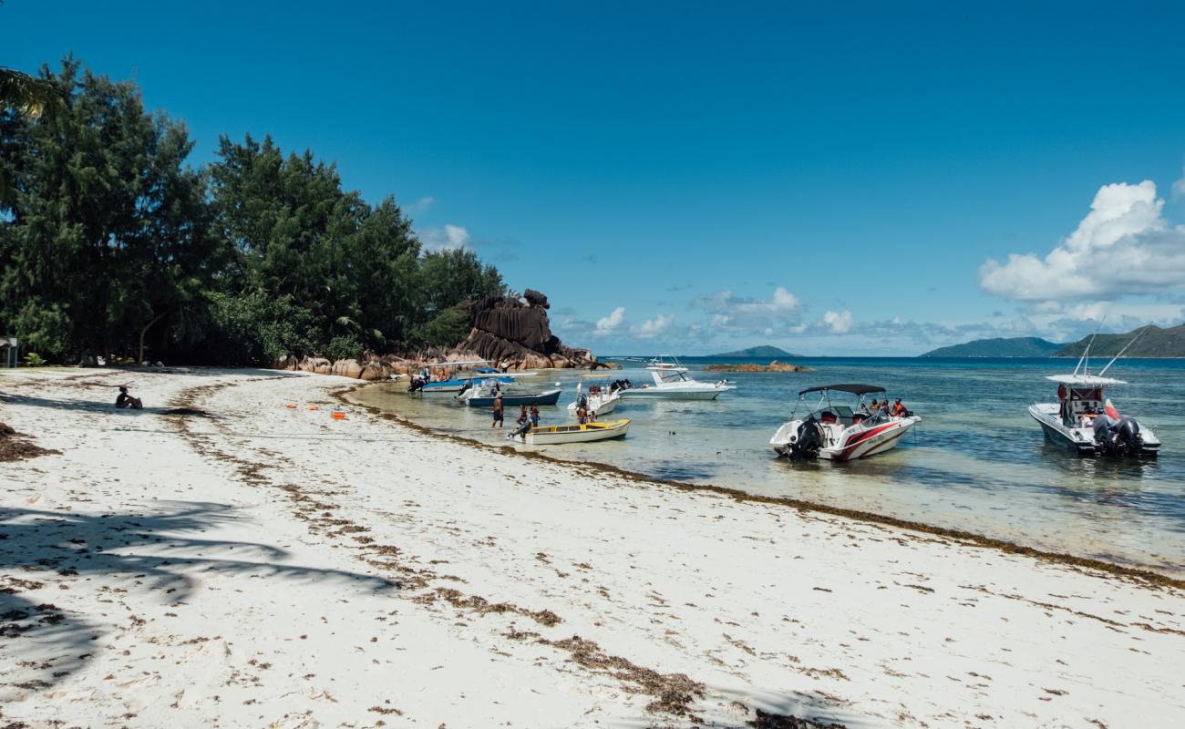 Photo de Laraie Bay Beach avec sable fin blanc de surface