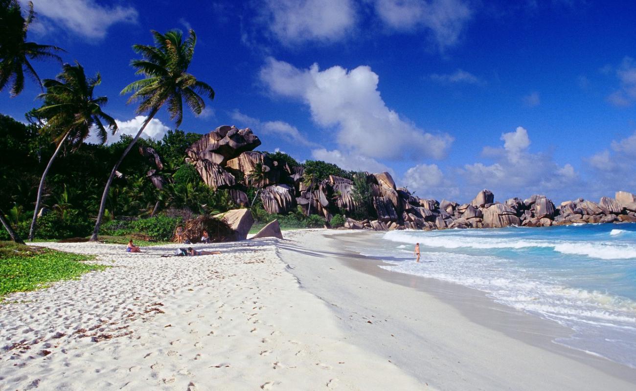 Photo de Plage de Grand Anse avec sable fin blanc de surface