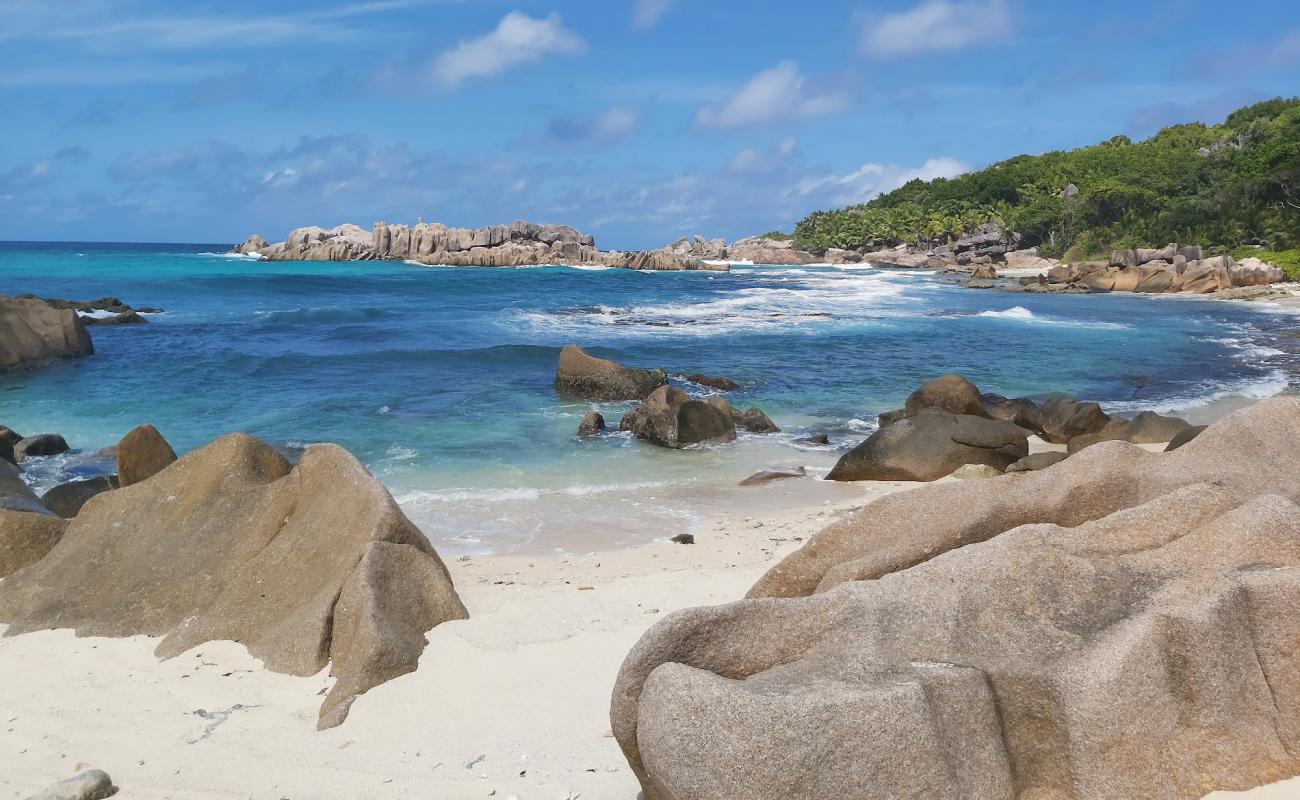 Photo de Grand l'Anse Beach avec sable beige de surface