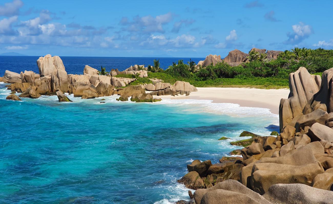 Photo de Plage Anse Marron avec sable fin et lumineux de surface