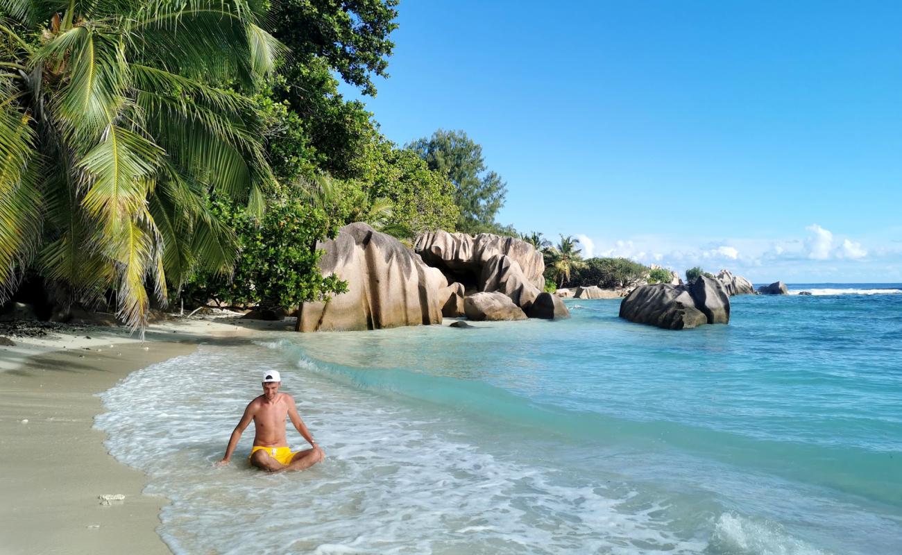 Photo de Anse Pierrot Beach avec sable beige de surface