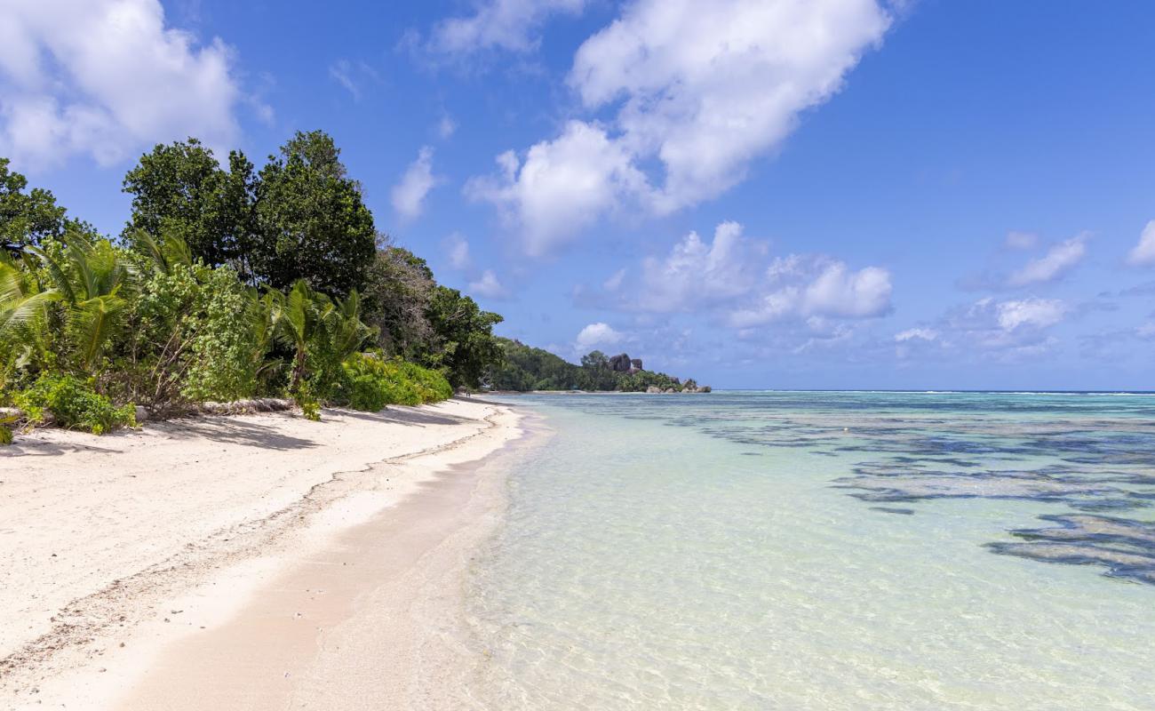 Photo de Anse Source d'Argent III avec sable beige de surface
