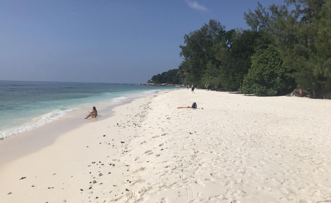 Photo de Anse Severe Schnorcheln Beach avec sable beige de surface