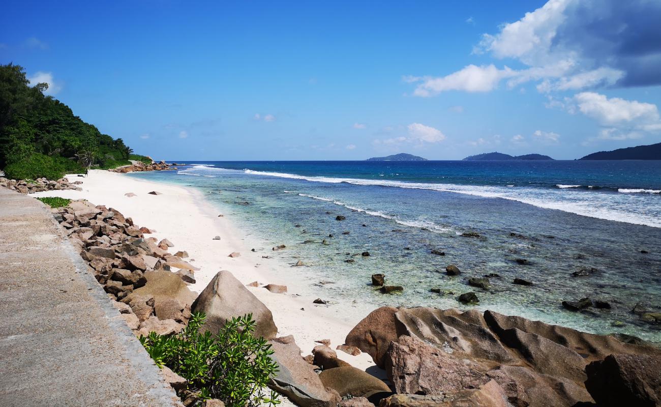 Photo de Anse Fourmis Beach avec sable beige de surface