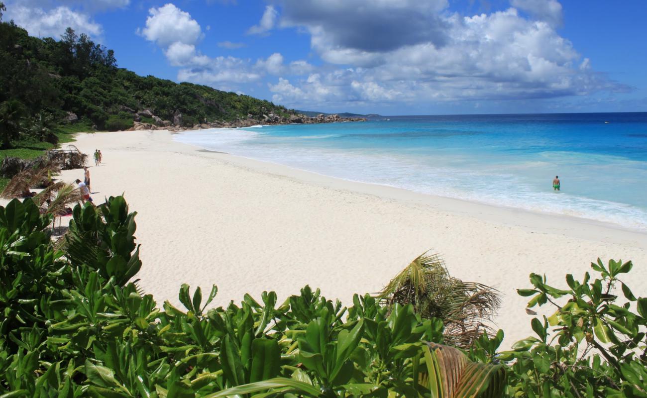 Photo de Plage de Petite Anse avec sable fin blanc de surface